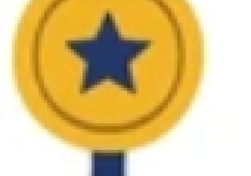 Award Opportunities